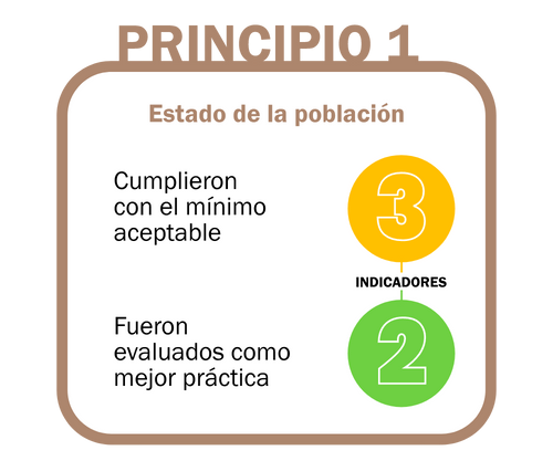 principio 1 new
