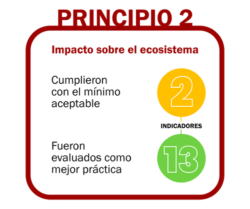 principio 2 new