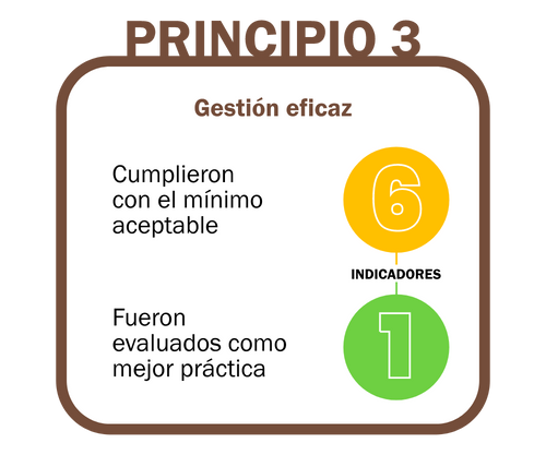 principio 3 new